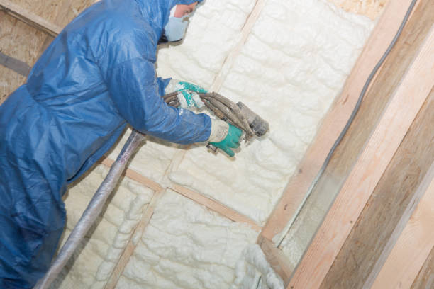 Best Insulation Removal  in Enterprise, AL