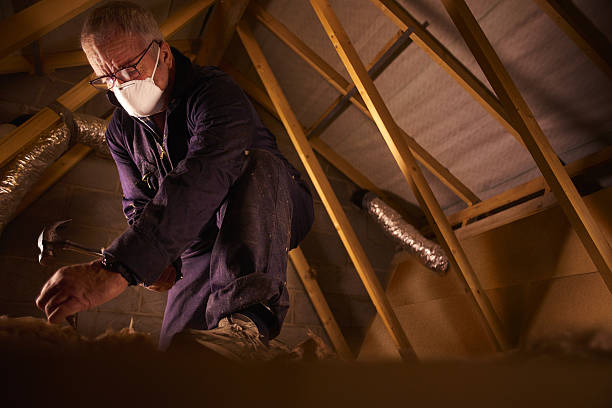 Best Attic Insulation Installation  in Enterprise, AL